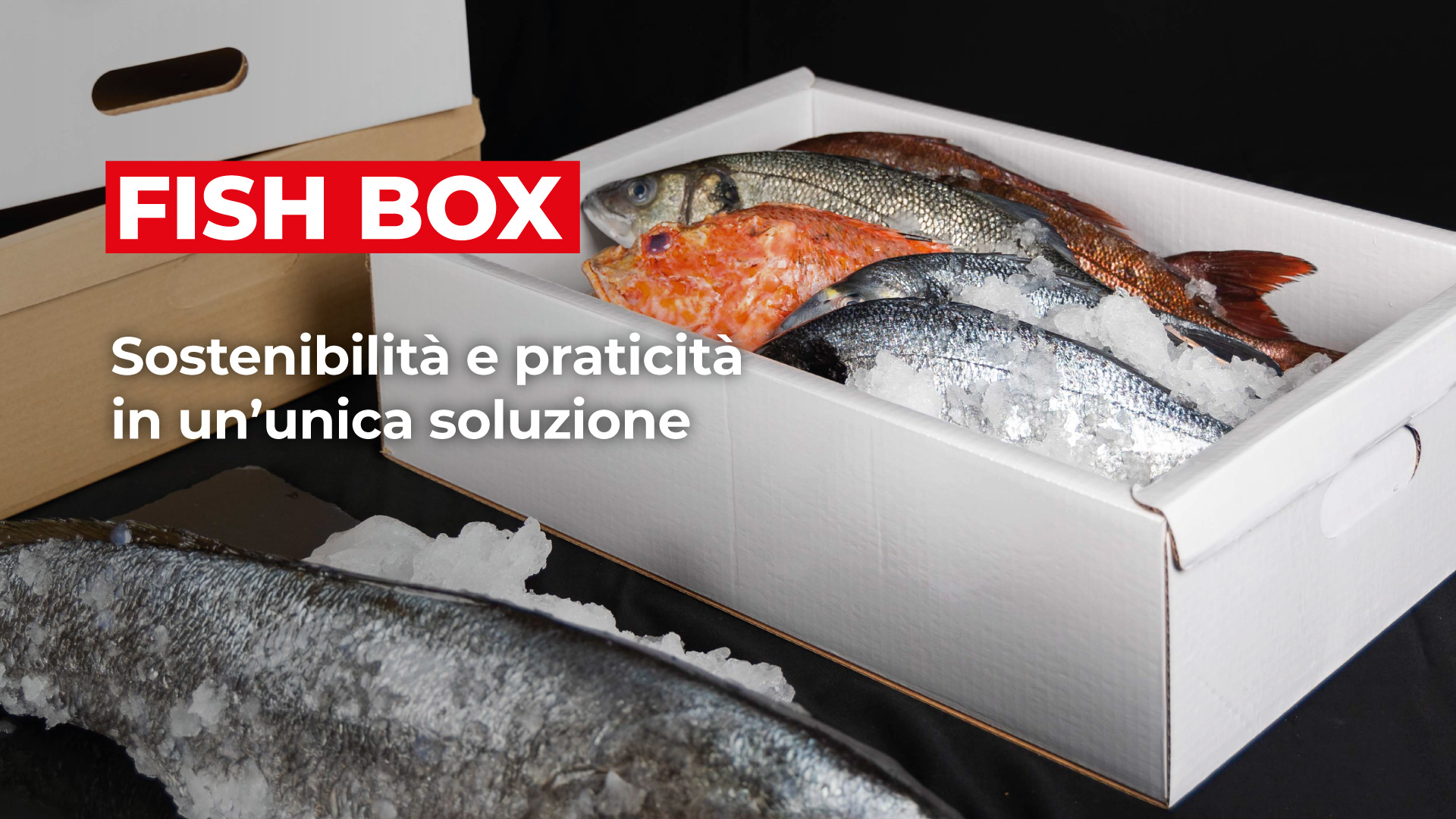 MARR: FISHBOX, Sostenibilità e praticità in un'unica soluzione