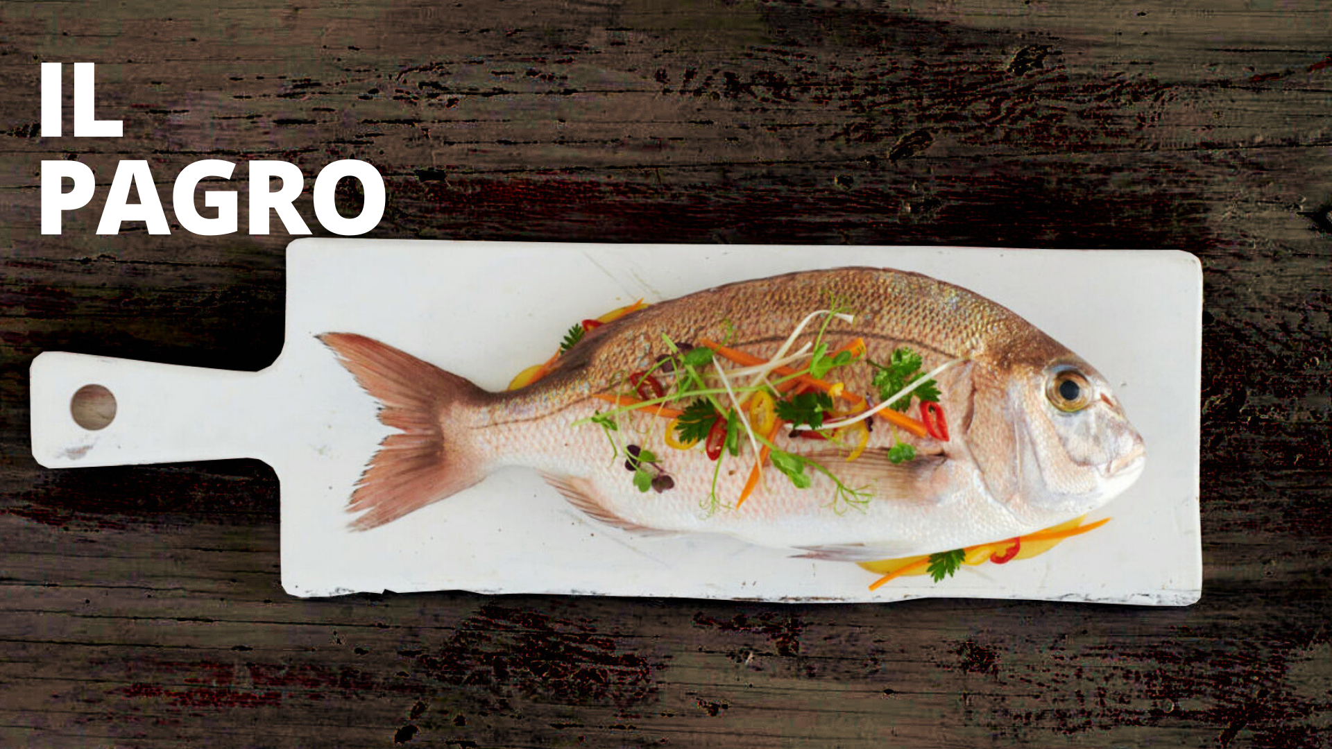 MARR - Novità: un pesce sorprendente, il Pagro!